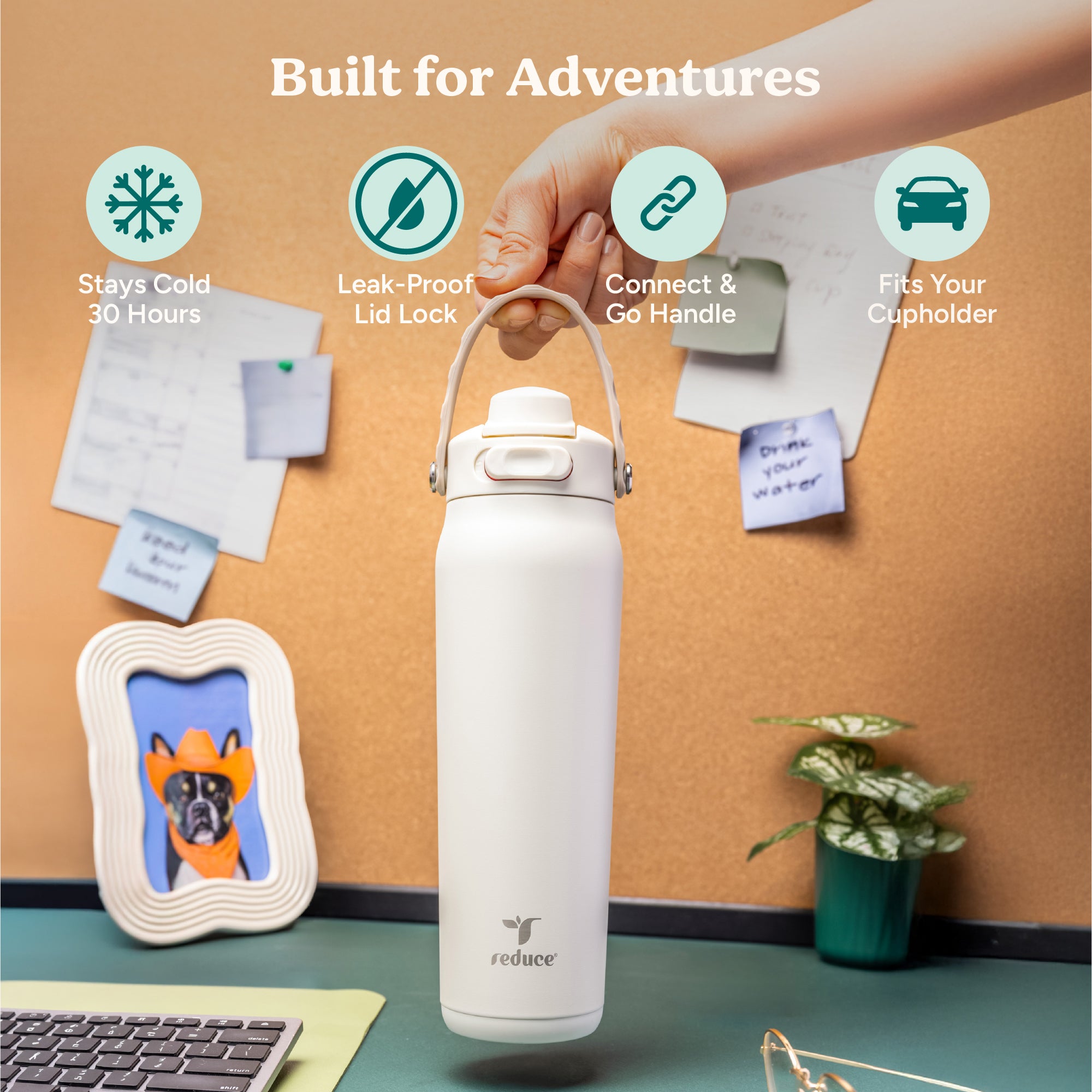 Aura 26 oz - Image 12