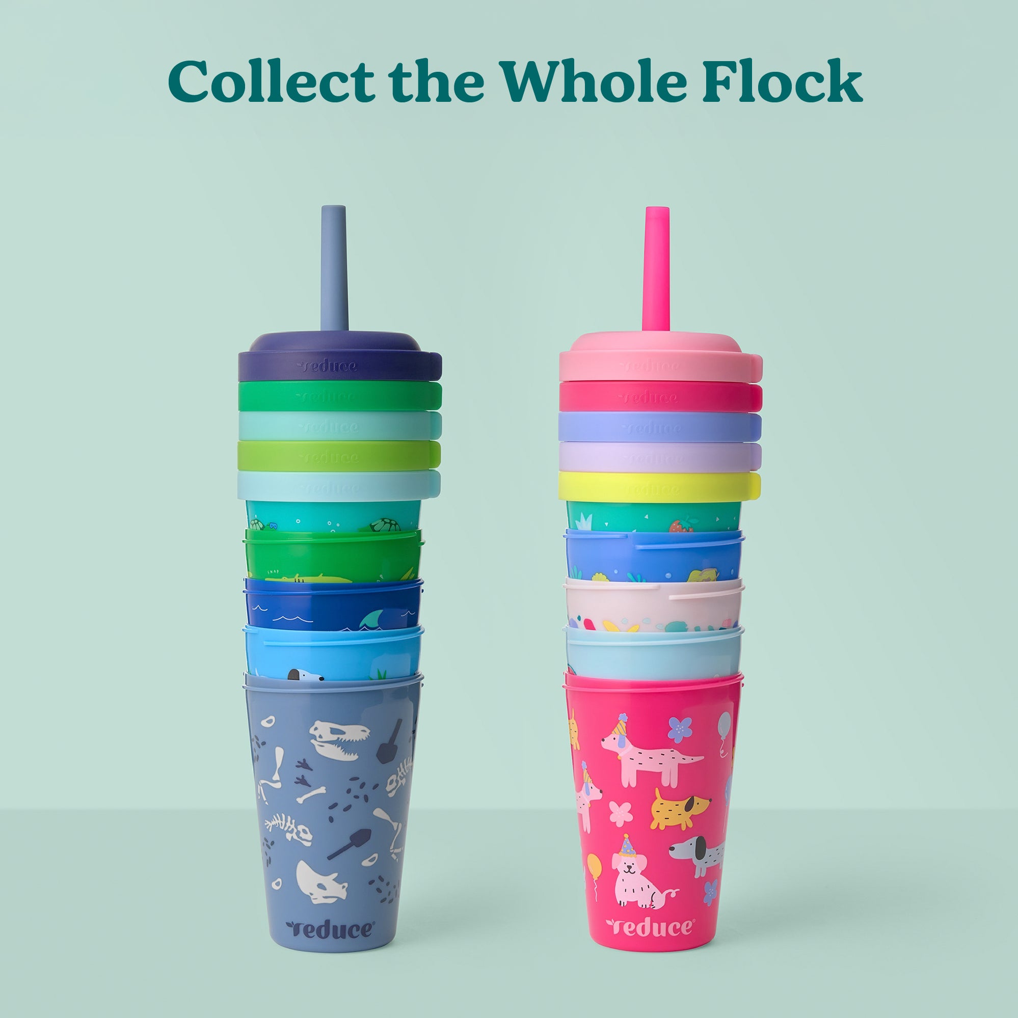 Gogos 12 oz - Image 6