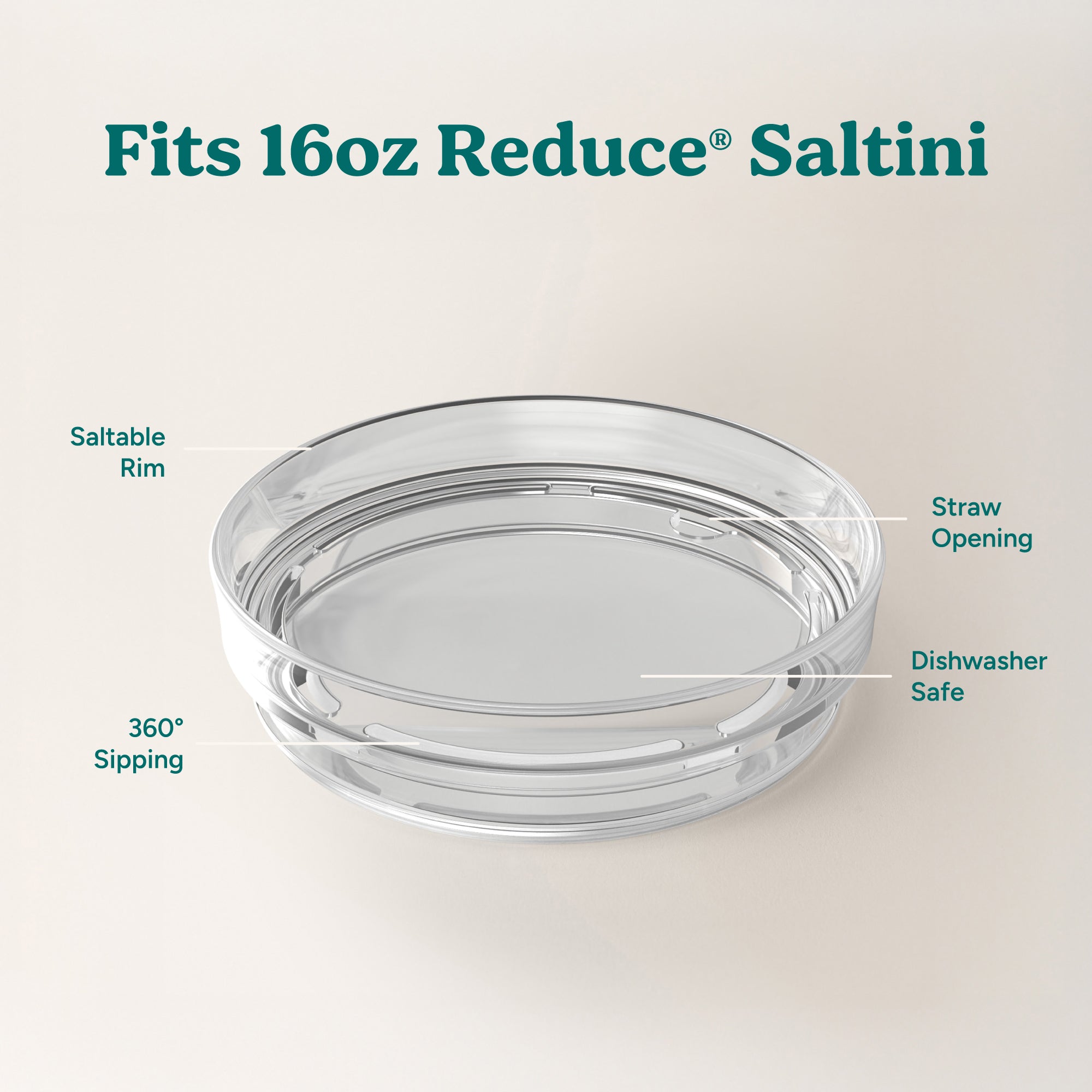 Saltini Lid - Image 3